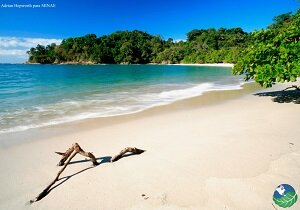 manuel antonio beach