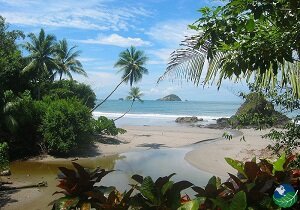 manuel antonio jungle
