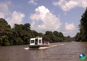 tortuguero boat trip